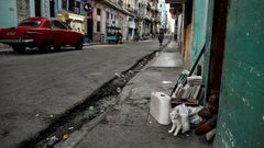 Un hombre y su gato se asoman a la puerta de su casa, en La Habana