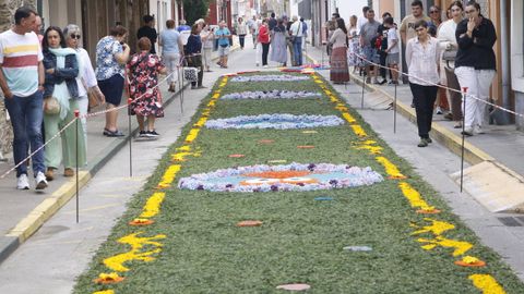 Alfombras Florales de Ares