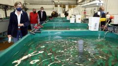 Rosa Quintana visit� las instalaciones del Cl�ster de Acuicultura en Ribeira