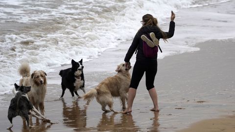  Una mujer juega con sus perros en la playa de San Lorenzo en Gij�n, Asturias