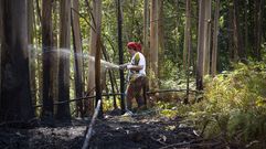 Una vecina refrescando el monte quemado para que no rebrote el fuego en Paradellas, en Vilaboa