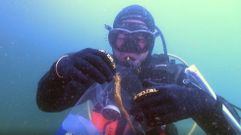 Muestreo de caballitos de mar en las R�as Baixas