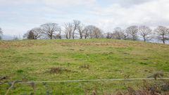 Terrenos de la nueva ciudad deportiva del Real Oviedo
