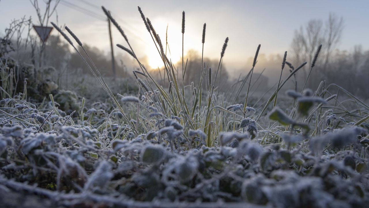 Noche gélida en Galicia: varias zonas de Lugo y Ourense durmieron a cinco grados bajo cero