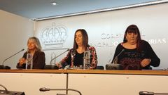 Presentaci�n datos Centro de Crisis Para V�ctimas de Agresiones Sexuales.
