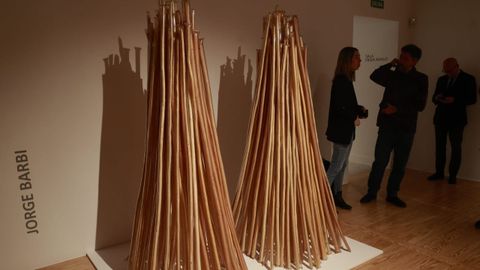 �Cosecha del 95, Cosecha del 96�,�instalaci�n del autor pontevedr�s Jorge Barbi.