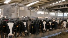 El aumento de los costes de producci�n provoca que nunca fuese tan caro mantener una vaca lechera.