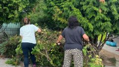 Dos mujeres limpiando ayer el entorno del colegio en Cambre.