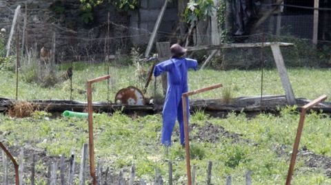 Espantapájaros en una foto de archivo.