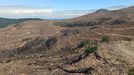 Quiroga sufri el ao pasado un grave incendio forestal, que afect a centenares de hectreas 