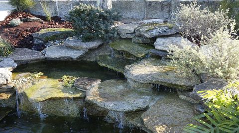 El agua y la vegetacin son un elemento fundamental en la transformacin de la parcela