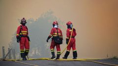 Varios servicios de emergencia tratan de apagar el fuego en Anllarinos del Sil, León, Castilla y León (España)