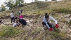 Una quincena de jvenes participan en un campo de voluntariado en el castro de Montes Claros, en A Laracha. Este yacimiento fue uno de los seleccionados por el Incipit para estudiar la vida en la Edad de Hierro.