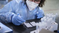 A diario se siguen haciendo cientos de pruebas en Ourense para detectar casos de coronavirus