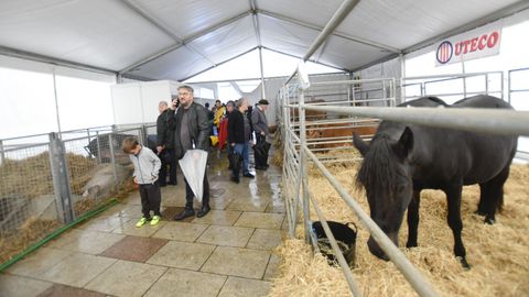 Feria de ganado ExpoLugo, junto a O Vello Cárcere