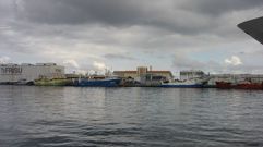Imagen de archivo de la flota marinense de Anacef en el puerto de Las Palmas