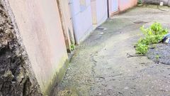 Fotodenuncia del estado de las v�as en el barrio malpic�n