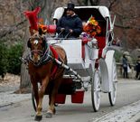 Los carruajes operan por la zona de Central Park. 