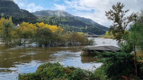 El Miño, desbordado a su paso por Ourense