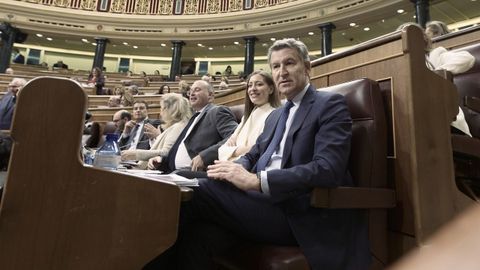 El presidente del PP, Alberto N��ez Feijoo y la portavoz de los populares, Ester Mu�oz, durante la sesi�n plenaria en el Congreso