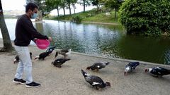 El due�o del bar del monte dos Pozos, en Valladares, alimentando a sus patos