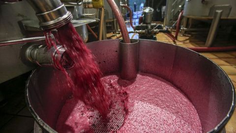 El vino se filtra en el sangrado para evitar que pasen restos slidos e impurezas