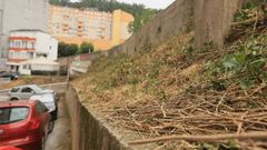 Imagen de los desbroces realizados en das pasados junto a la estacin de tren de Viveiro