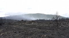 314 hect�reas han ardido en Cualedro