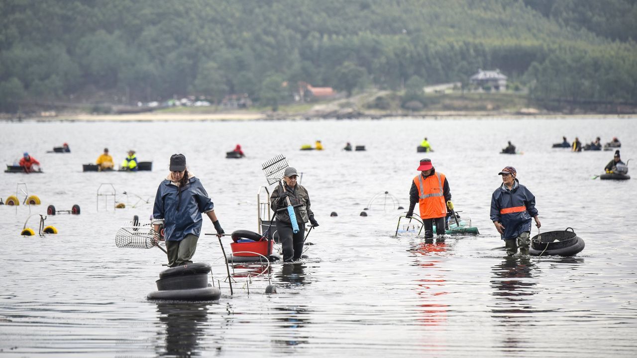 Galicia «promoverá unha participación equilibrada de mulleres e homes» en decisiones del mar