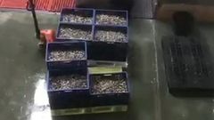 Golpe en Portugal a la venta de bivalvos contaminado