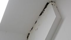 El moho cubre esquinas de la pared de las escaleras. En algunas paredes se ve el rastro de haber corrido el agua. Y uno de los bajos se inunda cada vez que llueve, explican. 