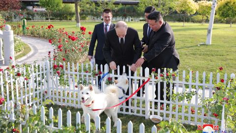Kim present los perros a Putin mientras daban un paseo por el jardn del Palacio de Invitados de Kumsusan