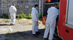 Trabajos de desinfecci�n en Castro Caldelas