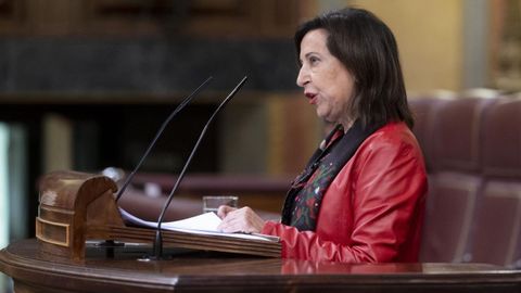 Margarita Robles durante una sesin en el Congreso.