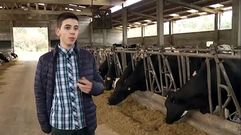 <span lang= gl >�As vacas te�en moito temperamento�</span>