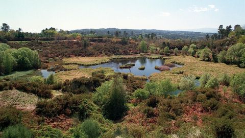 El Puzo do Lago es una explotación minera de origen romano cubierta por el agua