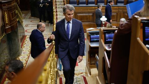 El lder del PP, Alberto Nez Feijoo, en el Congreso.