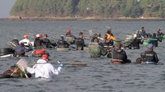 Por iniciativa de la cofrad�a de Noia, mariscadores de a pie, en la imagen de archivo, cobrar�n por retirar residuos de la r�a