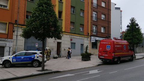 Los bomberos rescatan dos gatos en un bajo en Oviedo
