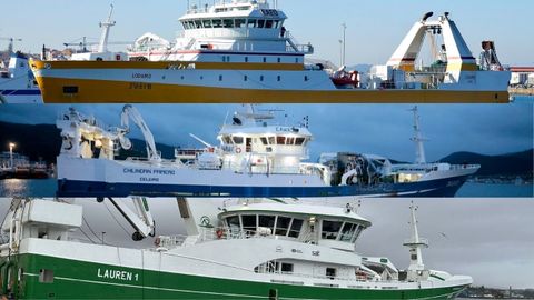 Lodairo, Chilindr�n Primero y Lauren, tres arrastreros congeladores que se reparten 30.000 de las 35.000 toneladas de lirio espa�ol en aguas internacionales.