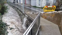 Desbordamiento del r�o C�davo en Fene