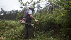 Imagen de archivo de los trabajos de desbroce en una finca de Carballo
