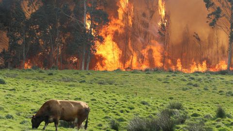 Incendio en las proximidades de Naves (Llanes)