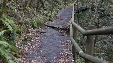 El deterioro en los paseos de madera, en im&aacute;genes