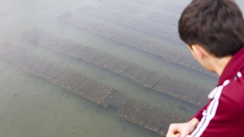En la imagen, las estructuras utilizadas sumergidas en aguas de Barallobre