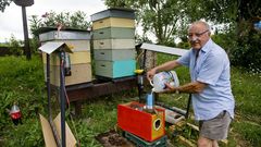 Ram�n Abades es el creador del apiario urbano del Jard�n Bot�nico de O Burgo