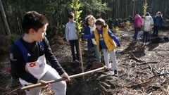 �Los alumnos del colegio Santa Baia hacen una plantaci�n de casta�os en Boiro! �B�scate en nuestro �lbum!