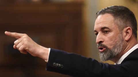 El presidente de Vox, Santiago Abascal, en una intervenci�n en el Congreso.