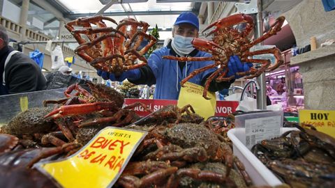 Centollas en la plaza de Pontevedra, entre 20 y 25 euros el kilo