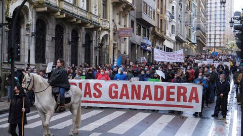 Manifestaci�n de Asturias Ganadera en Oviedo
